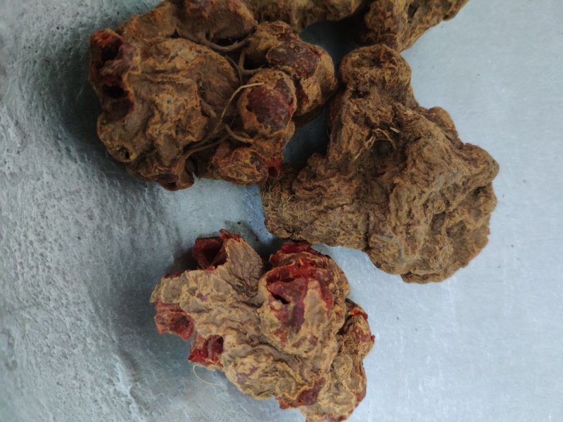 朱砂参朱砂莲朱砂根货好量大产地直售