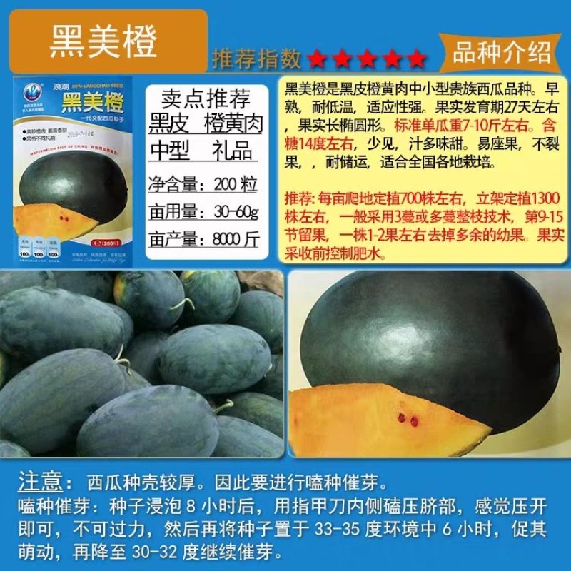 黄皮黄瓤红肉大果黑美人西瓜种子