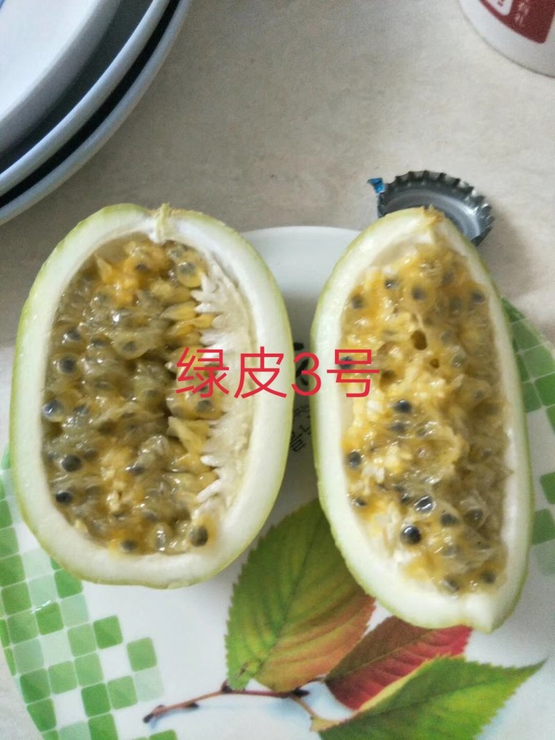 绿皮百香果苗荔枝味绿皮3号百香果
