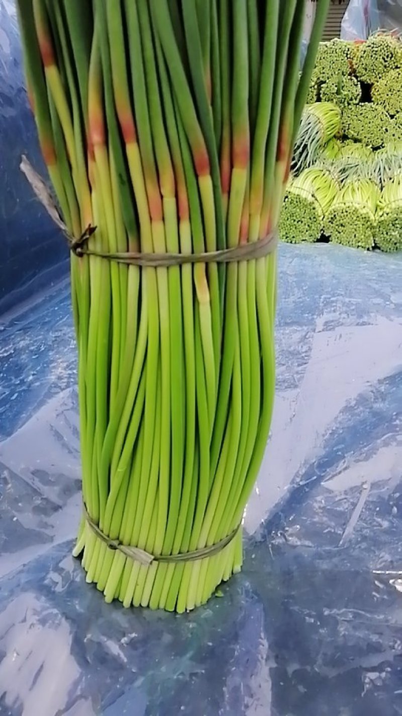 中牟红帽蒜薹