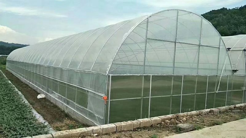蔬菜简易拱棚反季节蔬菜大棚种植各种大棚厂家