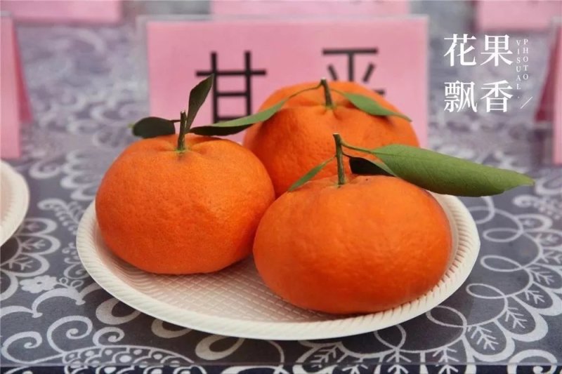 甘平枝条(产地直供)品质好保成活一手货源量大从优