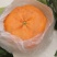 甘平枝条(产地直供)品质好保成活一手货源量大从优
