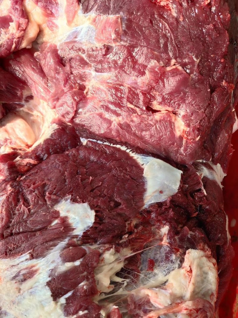 养殖场现杀新鲜驴肉带皮驴肉