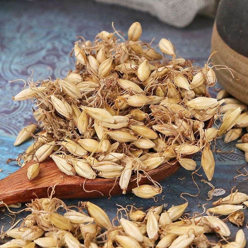 麦芽生麦芽炒麦芽各种规格无硫净货批发零售中药材