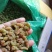 新疆吐鲁番特产自然风干葡萄干