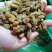 新疆吐鲁番特产自然风干葡萄干