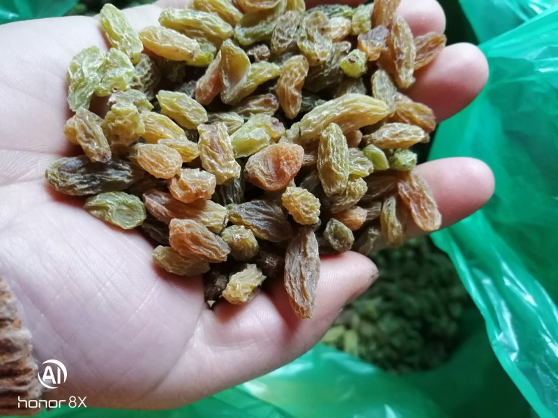 新疆吐鲁番特产自然风干葡萄干