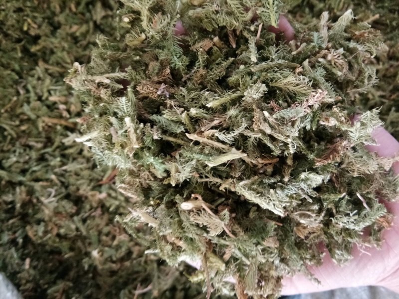 伸筋草无硫熏新鲜干货泡茶泡脚一公斤起发货