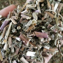 薄荷河北地产无硫中草药干净无杂一公斤起发货