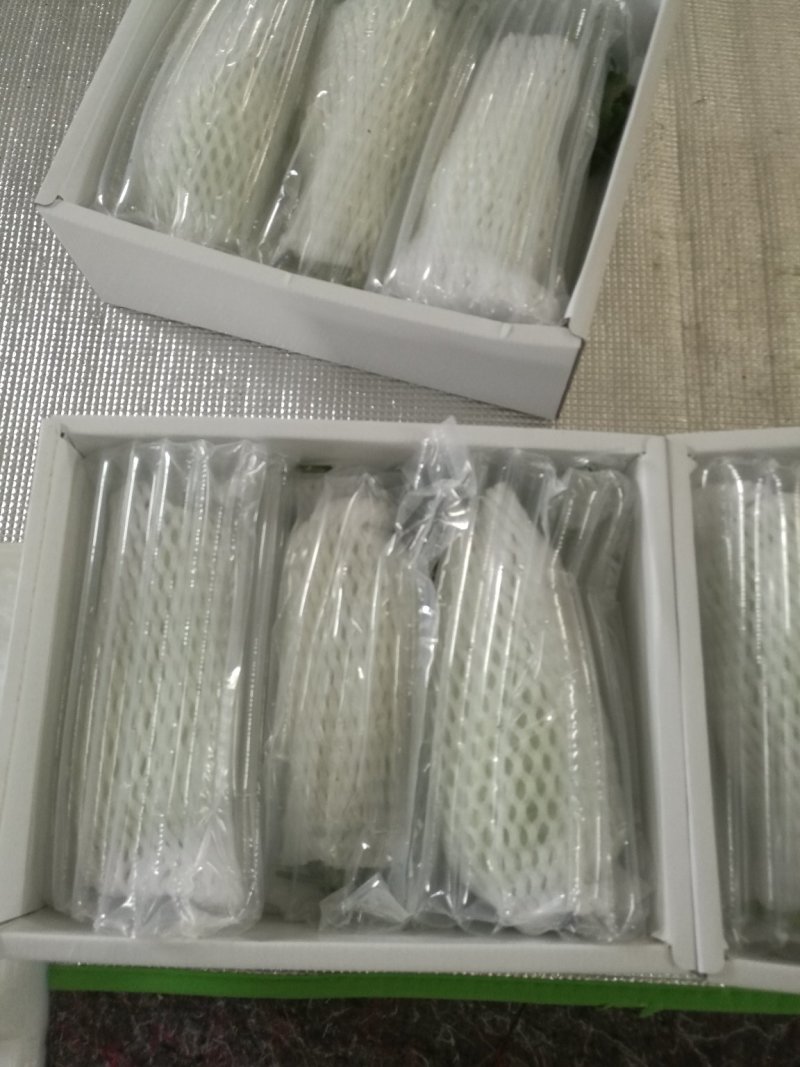 高石脆瓜大量上市