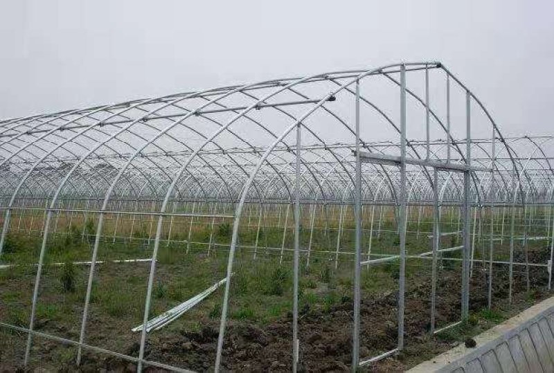 黄瓜大棚西红柿大棚韭菜大棚各种蔬菜大棚厂草莓葡萄