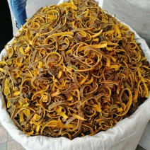 黄柏统货，未刮皮