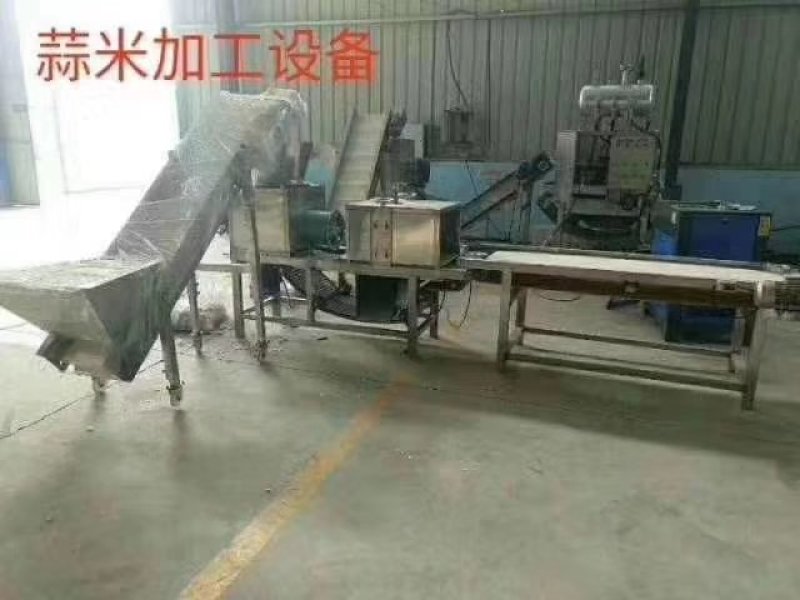 玛丽亚200公斤蒜米去皮机去皮机质量好价格优欢迎来电