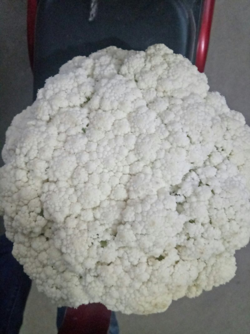 青梗散花，梗青米白实花米白，已上市，货源集中，货量大