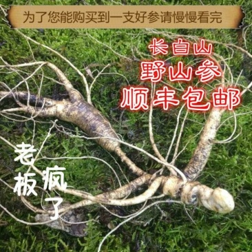 【荐】长白山人参野生山参特等林下参礼盒人参产地包邮