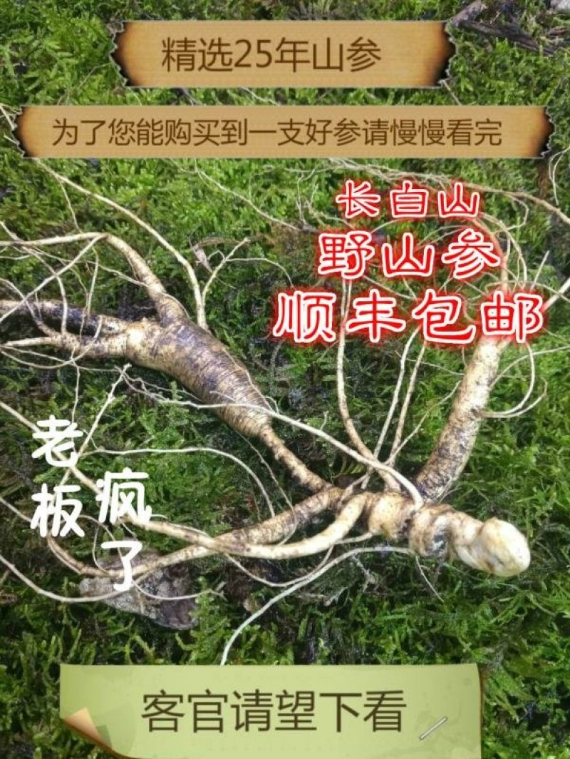 【荐】长白山人参野生山参特等林下参礼盒人参产地包邮