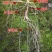 【荐】长白山人参野生山参特等林下参礼盒人参产地包邮
