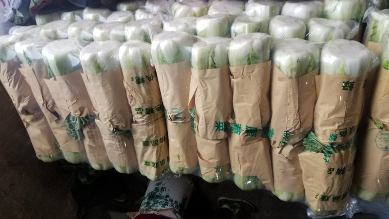 北京三号白菜，河北唐山玉田县大白菜之乡三号白菜