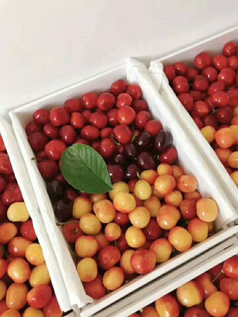 物优价廉无激素无催熟