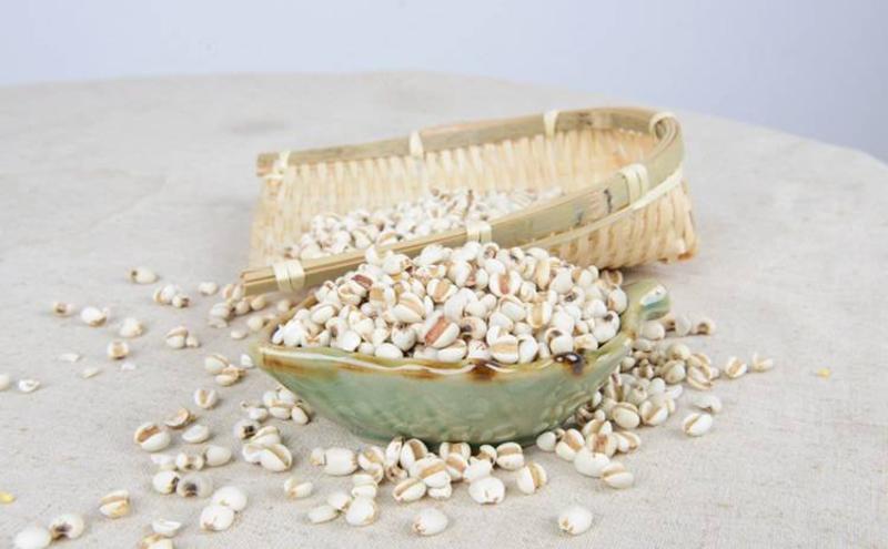 薏米薏苡仁药食两用食用级别小粒新米量大从优