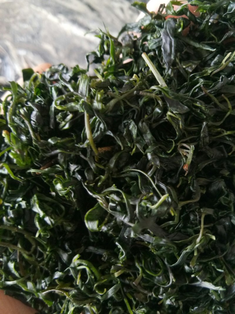 苦丁茶小叶苦丁青山绿水野生正品特级嫩芽