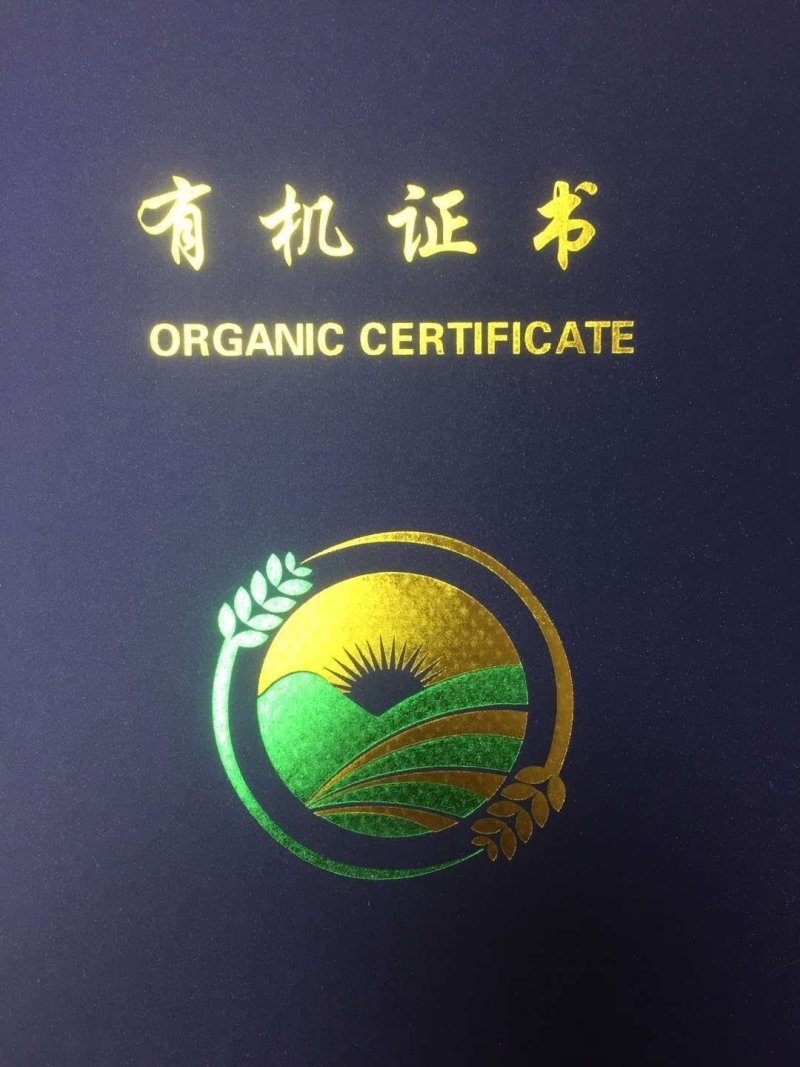 有机芽苗菜