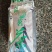 蒲公英茶蒲公英菊花茶