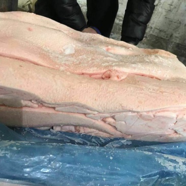 山东省临沂市冷库直销猪肥膘肉