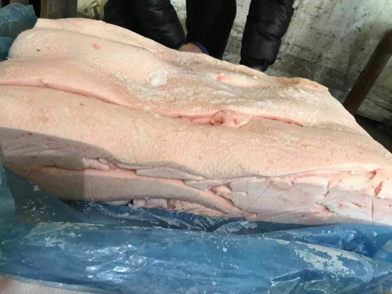山东省临沂市冷库直销猪肥膘肉