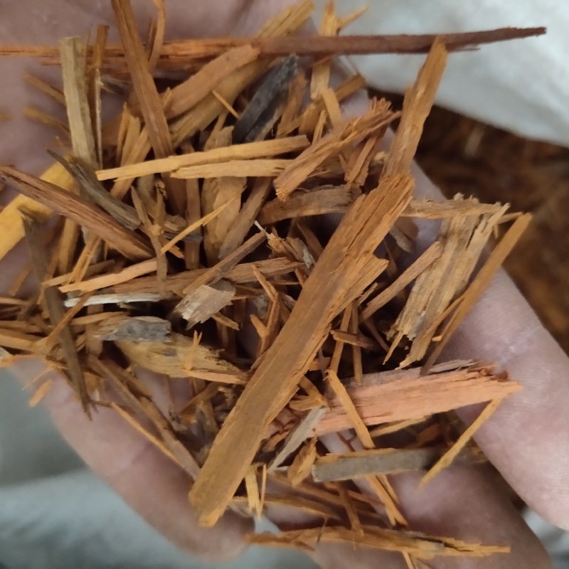 苏木红条片过筛无杂质