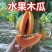 木瓜苗