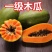 木瓜苗