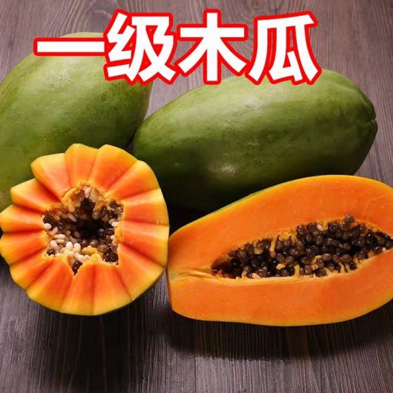 木瓜苗