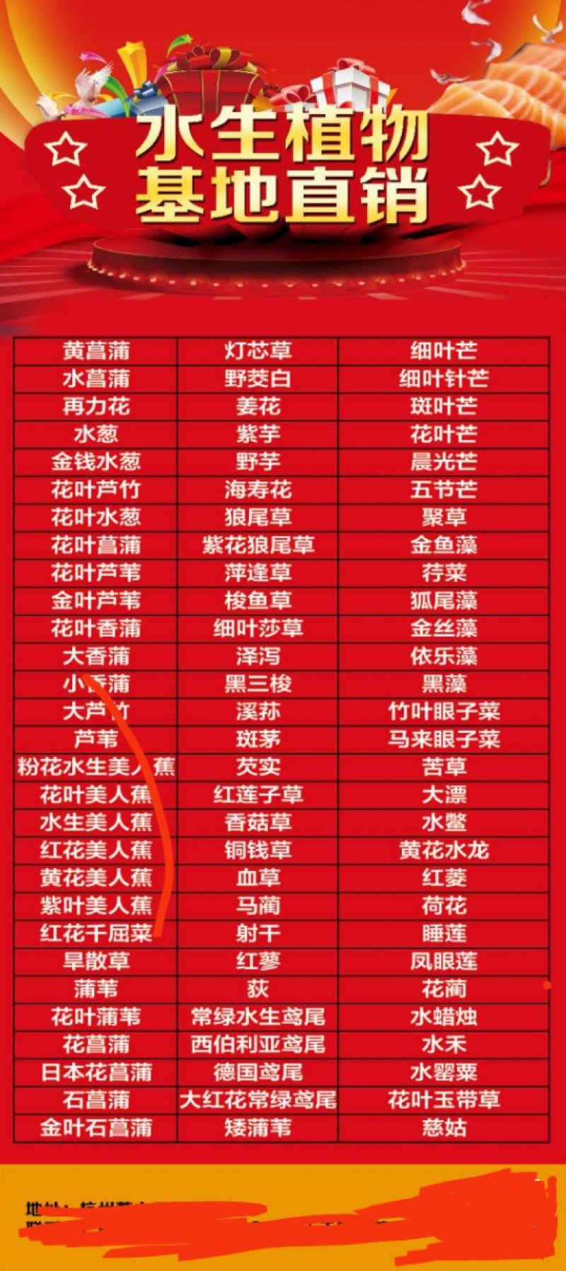 睡莲水生植物基地直销物美价廉