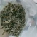 要普洱老树茶和白荼芽尖的看过来