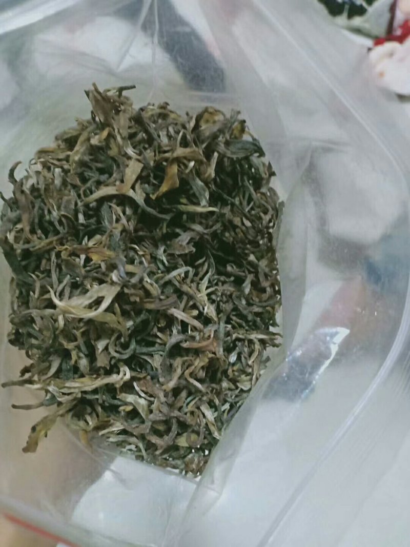 要普洱老树茶和白荼芽尖的看过来