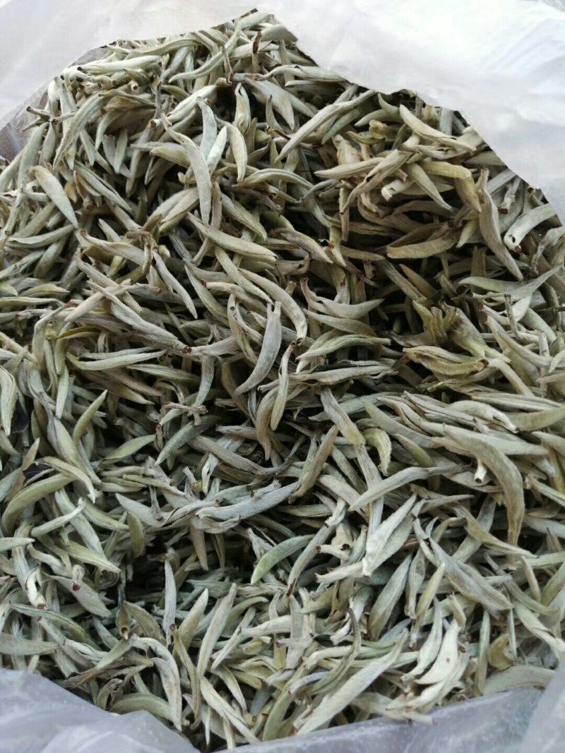 要普洱老树茶和白荼芽尖的看过来