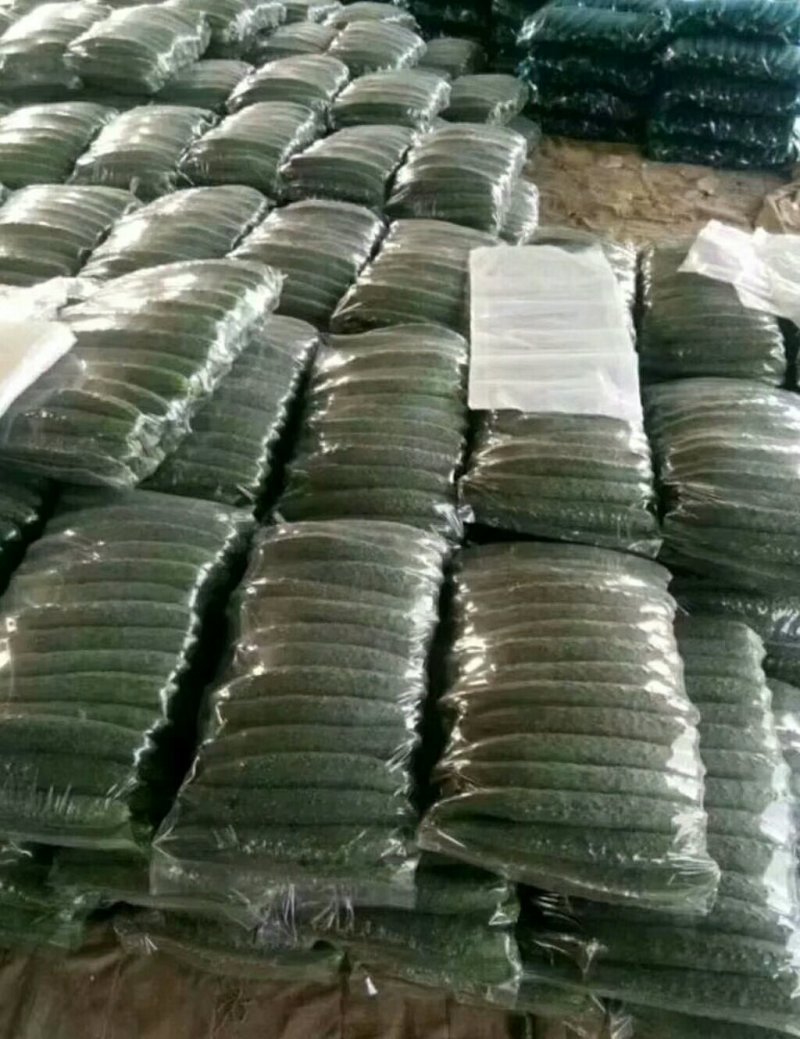 河南省商丘市夏邑县中甘篮21大量供货中，质量保证。