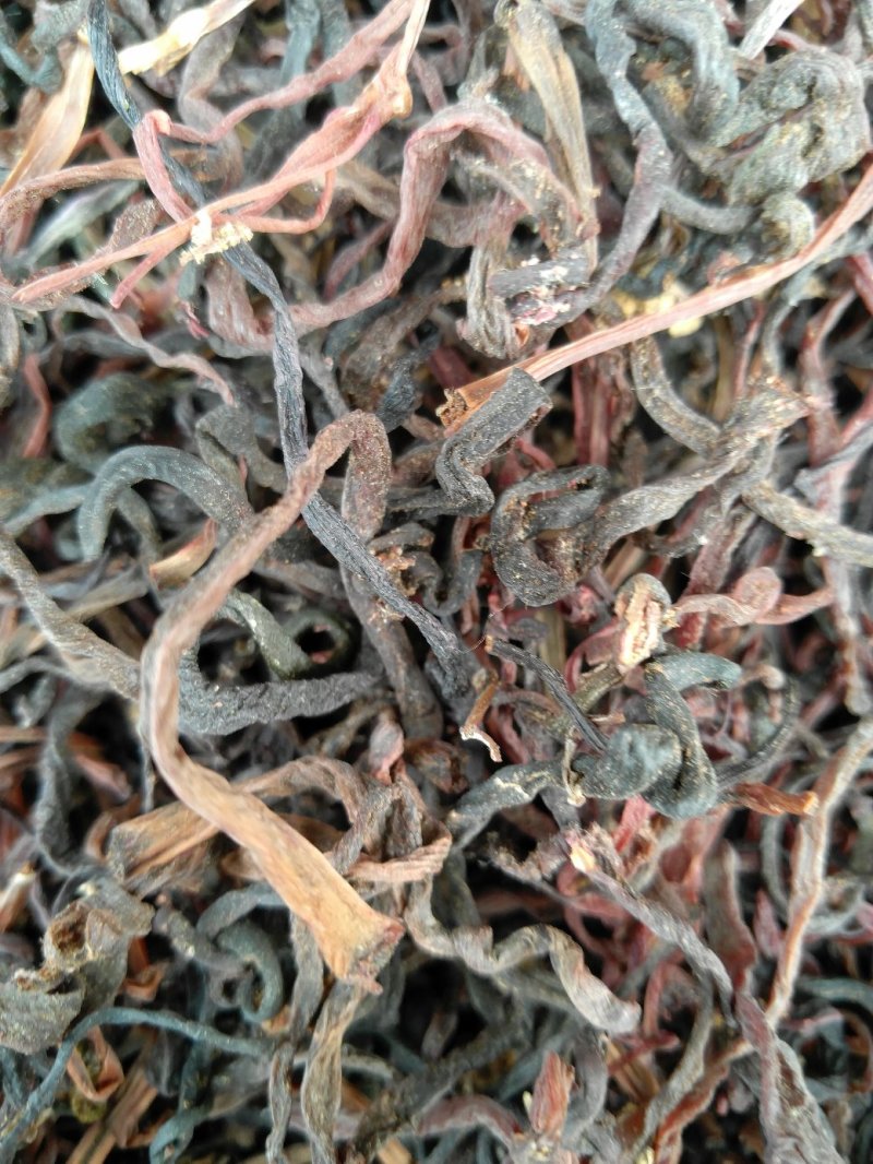 薇菜纯野生干货、干净无硫无杂质、产地直供