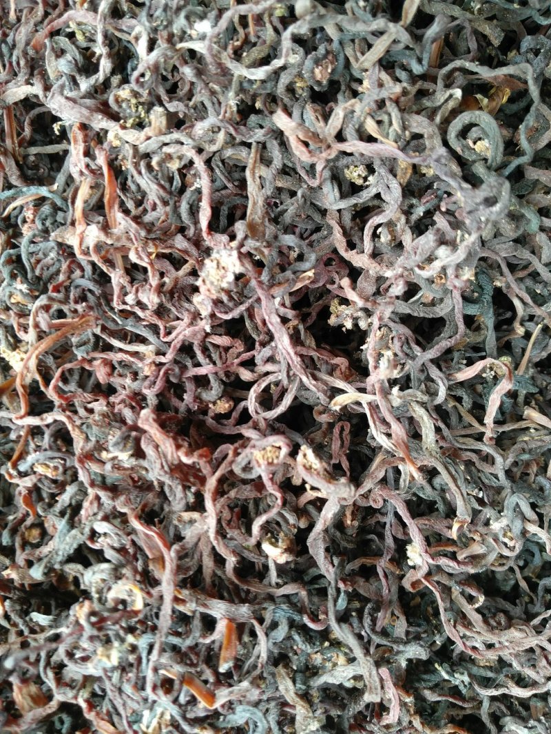 薇菜纯野生干货、干净无硫无杂质、产地直供