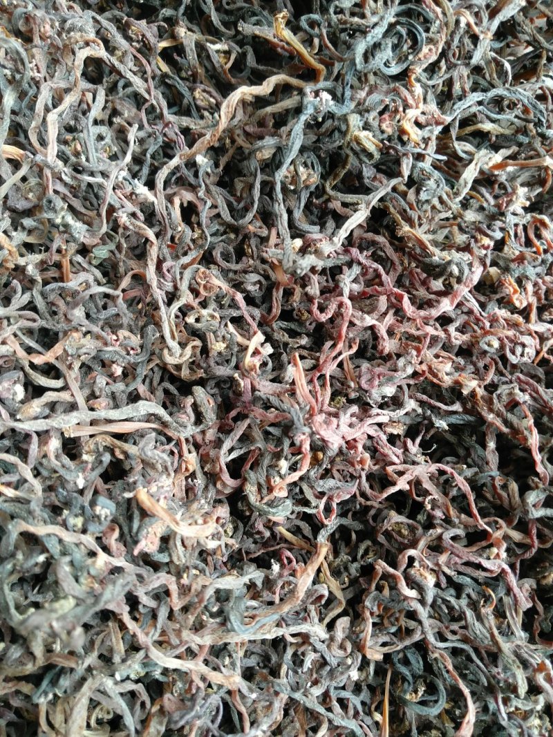 薇菜纯野生干货、干净无硫无杂质、产地直供