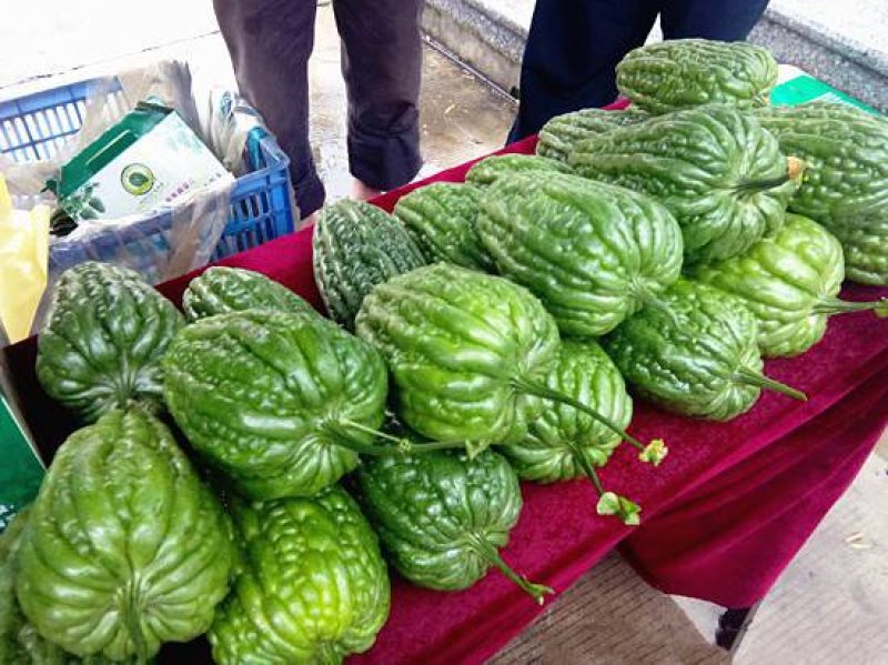 大顶苦瓜