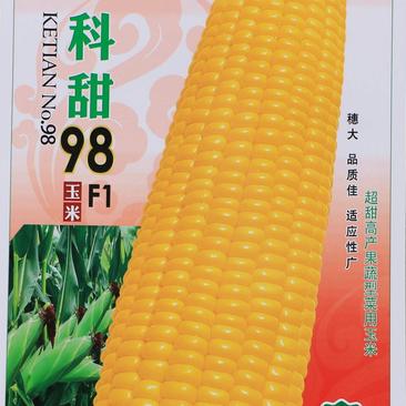 口感形水果玉米种子薄皮水果玉米种子正甜68升级品种