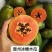 正宗雷州冰糖心木瓜，28元，五斤包邮，西六省不发