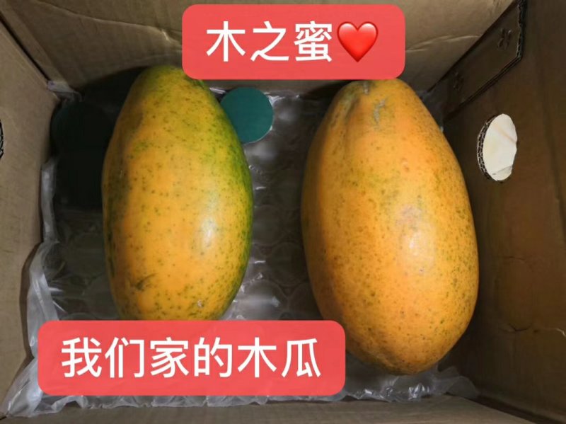 正宗雷州冰糖心木瓜，28元，五斤包邮，西六省不发