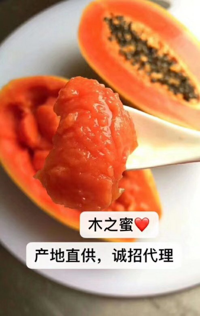 正宗雷州冰糖心木瓜，28元，五斤包邮，西六省不发