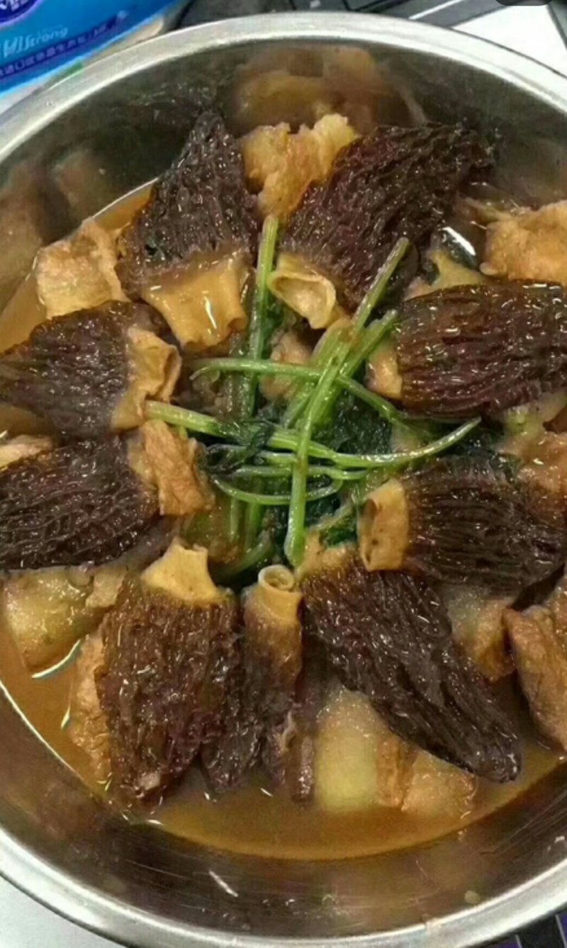 羊肚菌