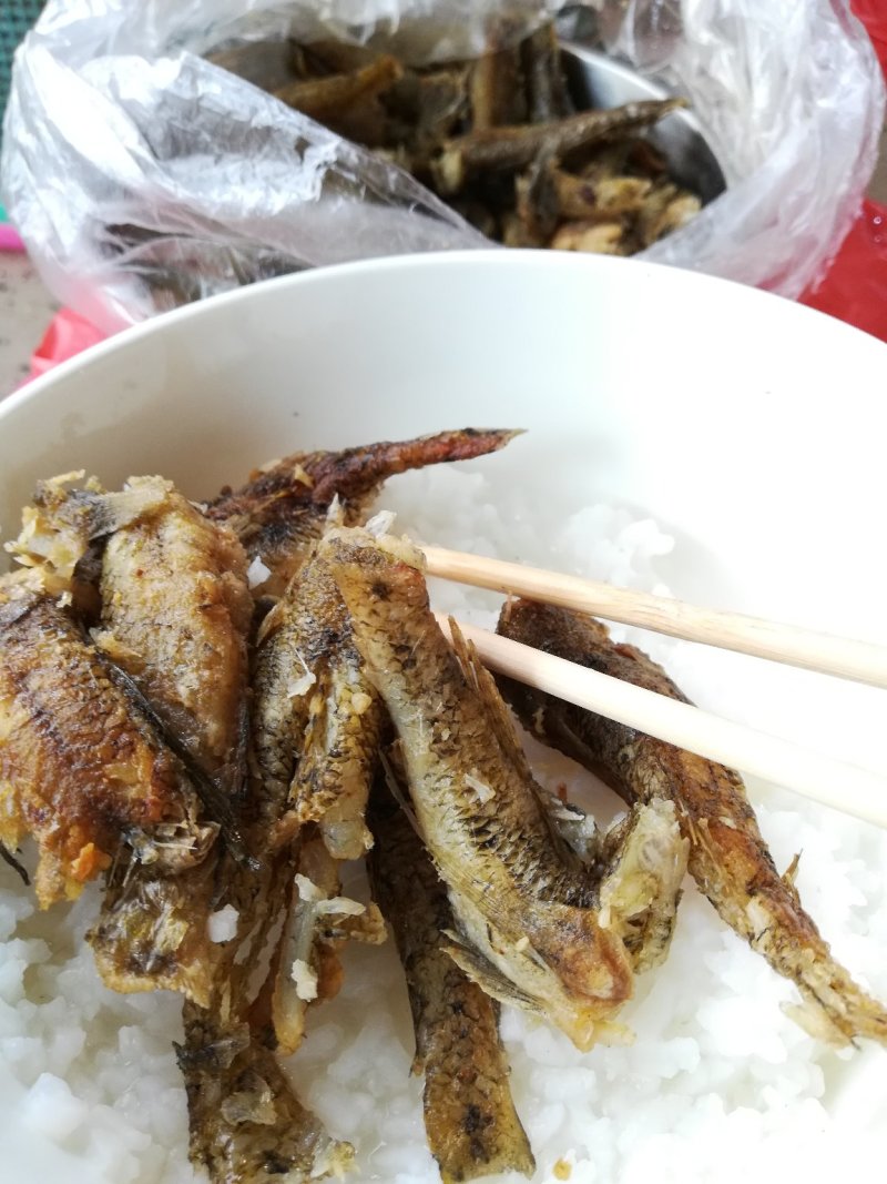 肉鱼，狗母鱼，趴地虎每天有货价，保质保量，，
