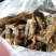 肉鱼，狗母鱼，趴地虎每天有货价，保质保量，，